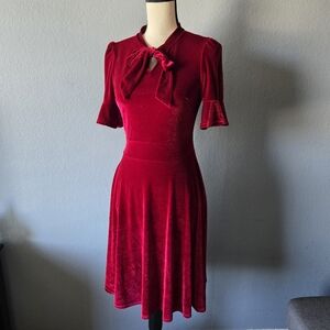 Ranphee Dark Red Velour Dress